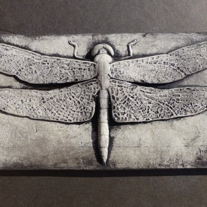May include: A white ceramic dragonfly sculpture with a textured surface. The dragonfly is mounted on a rectangular slate tile with the word "hans" written in the bottom right corner.