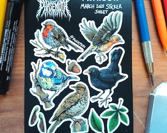 May include: A black sticker sheet with detailed illustrations of birds such as a robin, blue tit, and blackbird. The sheet is labelled "PATREON MARCH 2025 STICKER SHEET" and includes the artist's handle, "@PHASEMOTH".
