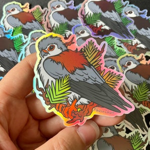 Pygmy Falcon HOLOGRAPHIC Vinyl Sticker, Bird Sticker, Falcon, Bird of Prey, Shiny, Uncanny Birds