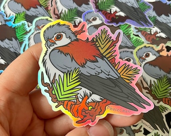 Pygmy Falcon HOLOGRAPHIC Vinyl Sticker, Bird Sticker, Falcon, Bird of Prey, Shiny, Uncanny Birds