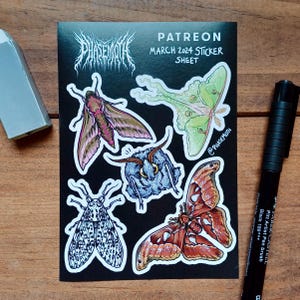 Moth Sticker Sheet, A6 | atlas moth, cute moth, journaling, alternative, fuzzy moth, luna moth, gothic, fluffy moth, bug stickers