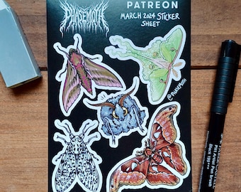 Moth Sticker Sheet: A6 Original Illustrated Bug Stickers