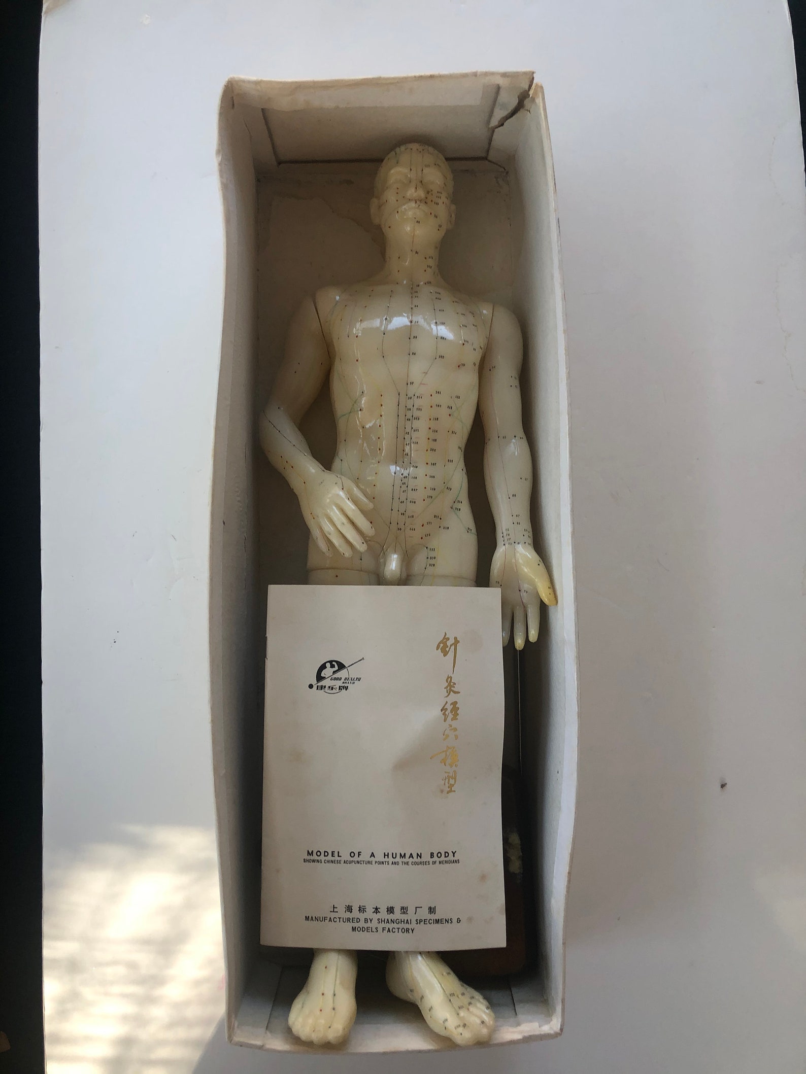Sale Chinese Acupuncture Doll with Instructions and Original Etsy
