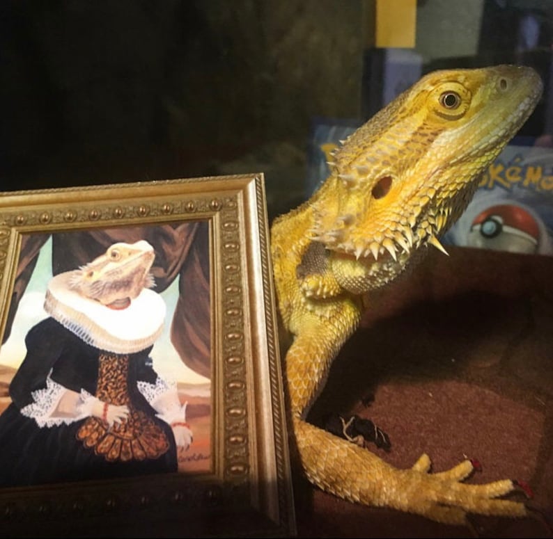 Bearded Dragon Mrs. Spike Bearded Dragon Gifts Etsy