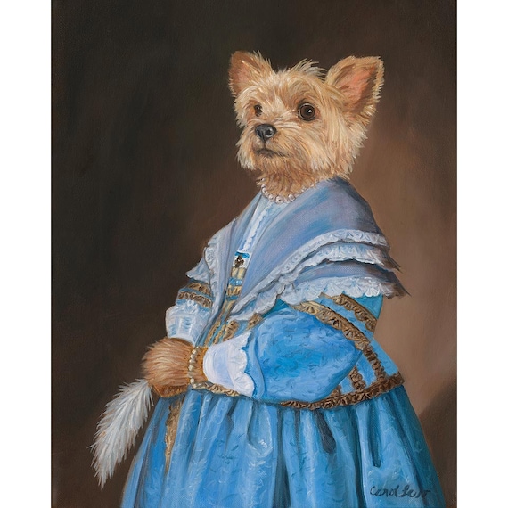 clothes for yorkshire terriers