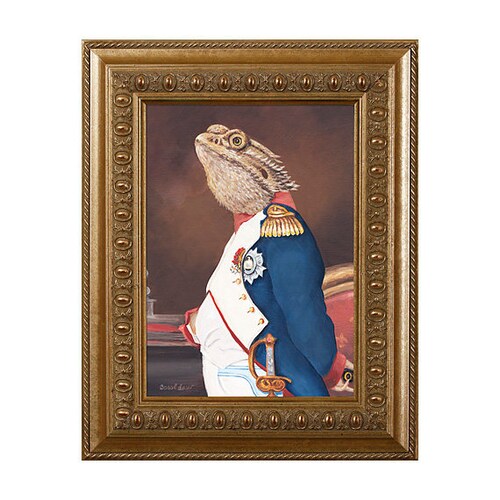 dragons den reptile shop