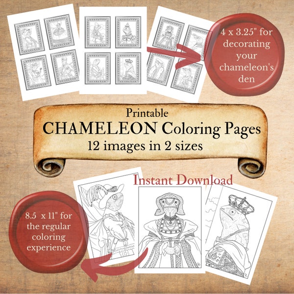Chameleon Coloring Page - Etsy