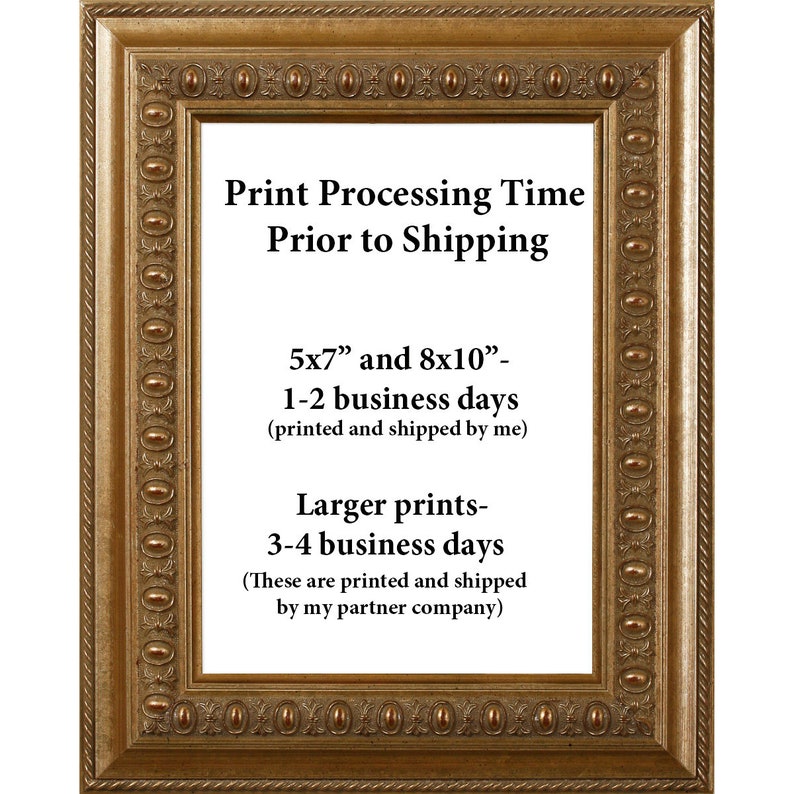 May include: A gold-coloured frame with a white background and black text. The text reads "Print Processing Time Prior to Shipping 5x7" and 8x10" - 1-2 business days (printed and shipped by me) Larger prints - 3-4 business days (These are printed and shipped by my partner company)"