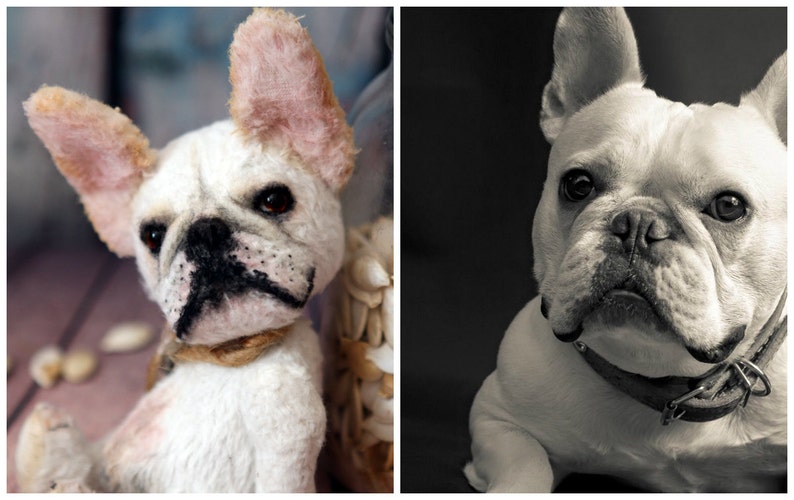 french bulldog teddy bear