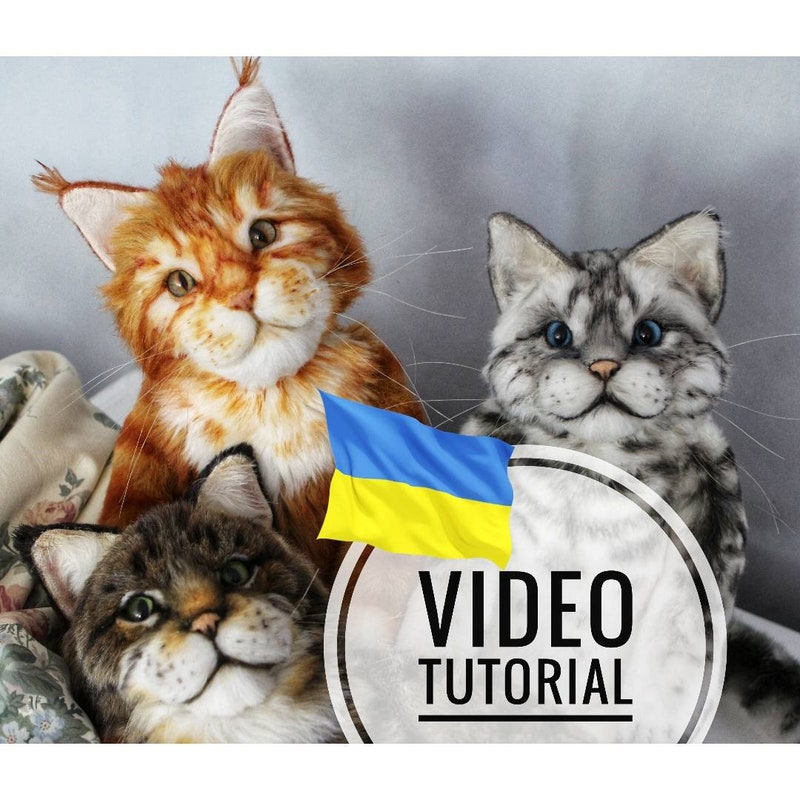 HOW TO MAKE A STUFFED CAT visual data 6