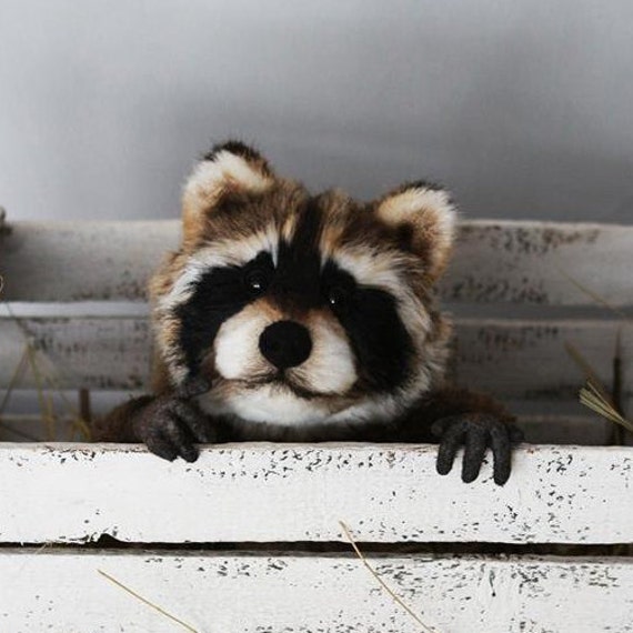 raccoon teddy bear