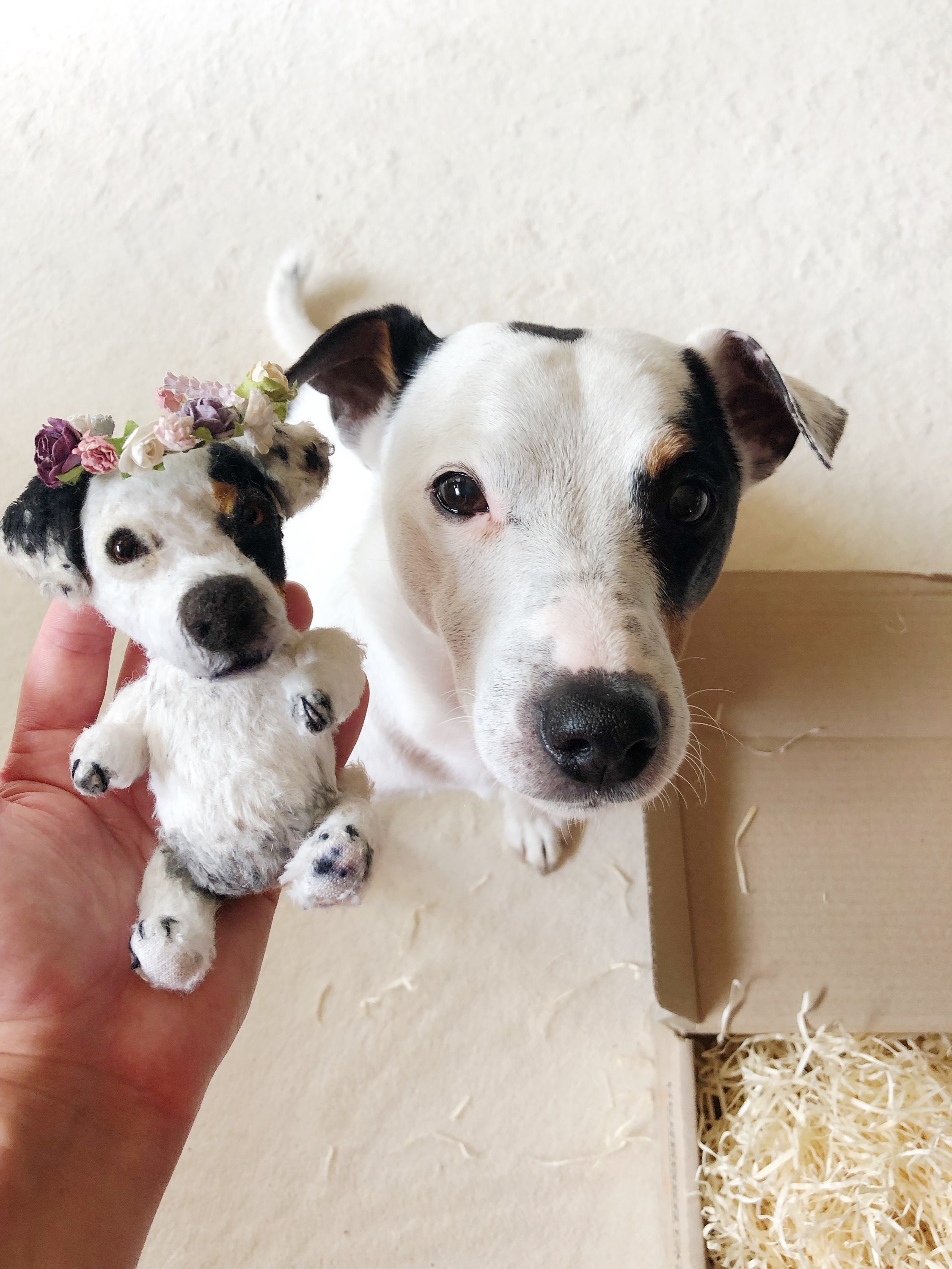 jack russell stuffed toy