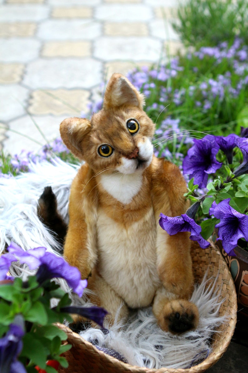 Abyssinian Realistic toy CATS Craft Nature Cats Portrait Teddy Etsy