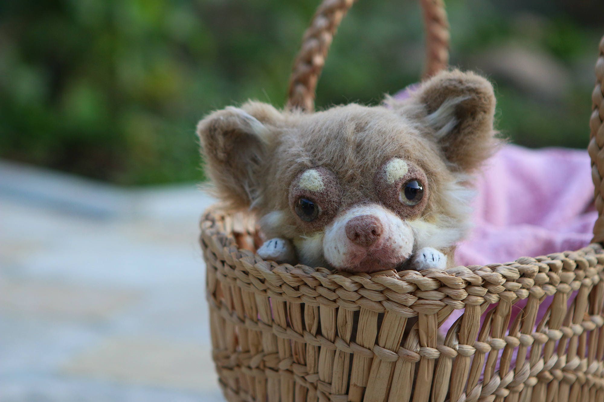 Chihuahua Custom Dog Portrait Personalized Stuffed Animal Fur Etsy