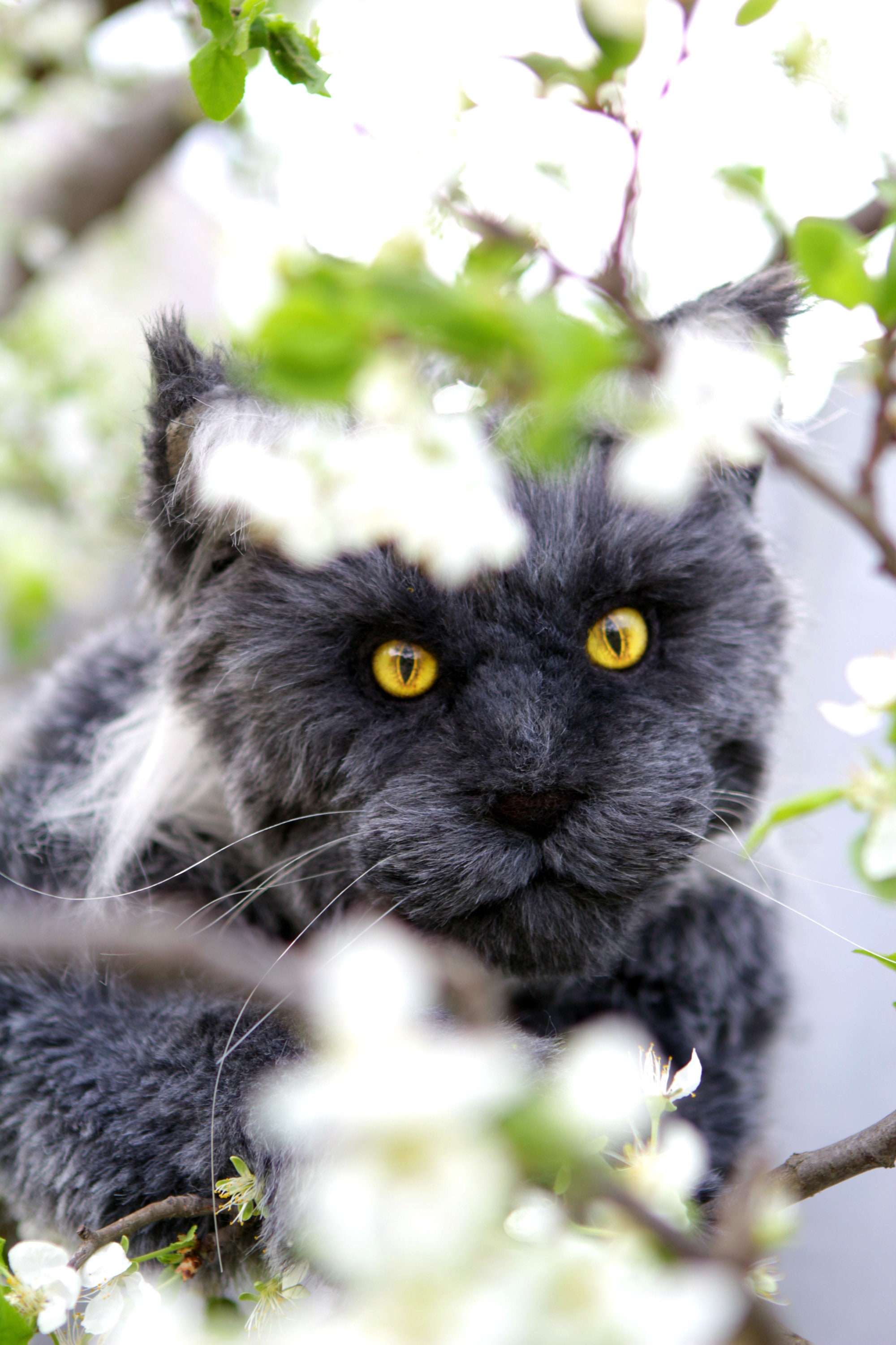 realistic plush