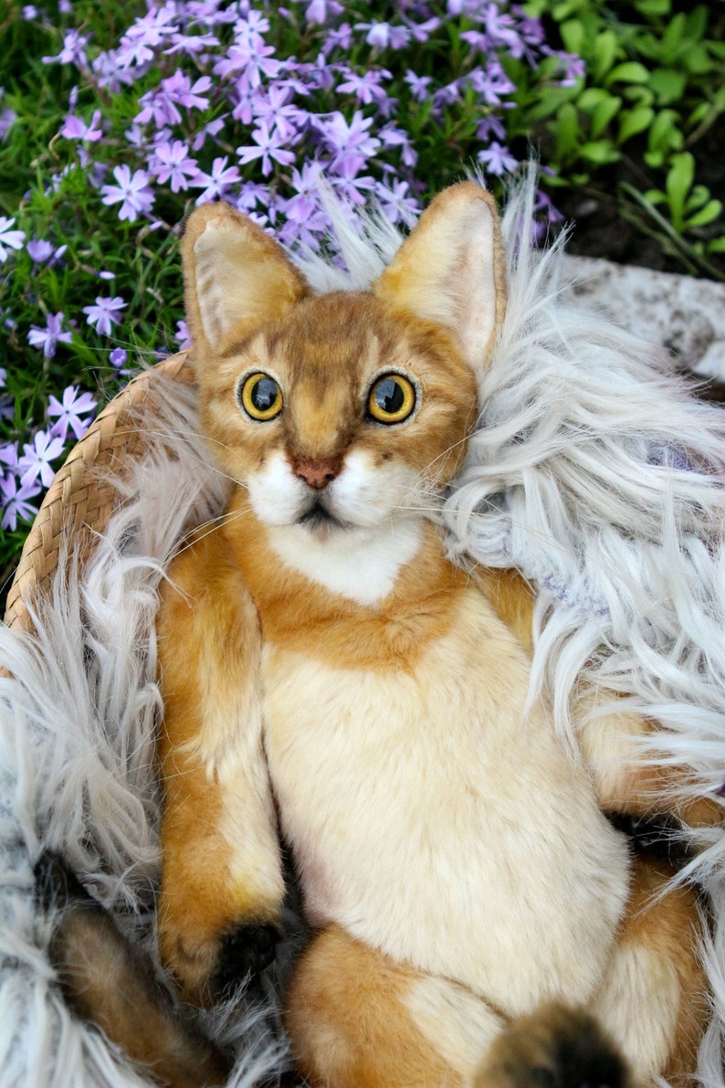 Abyssinian Realistic toy CATS Craft Nature Cats Portrait Teddy Etsy
