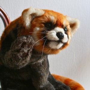 Può includere: Un peluche di panda rosso con un design dettagliato e realistico. Il giocattolo presenta un mix di pelliccia arancione, marrone e nera, con viso e orecchie bianche. È posizionato seduto su una superficie scura, con la zampa alzata.