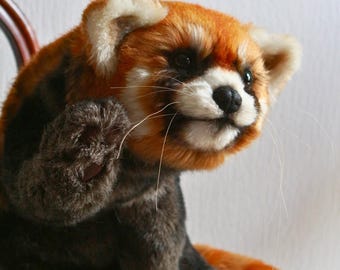 レッサーパンダのルビーのぬいぐるみ。手作りのぬいぐるみコレクション
