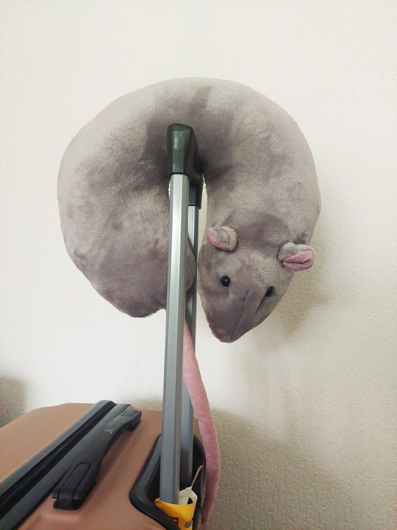 Plush Rat Neck Pillow: Funny Travel Accessory for Animal Lovers - Etsy
