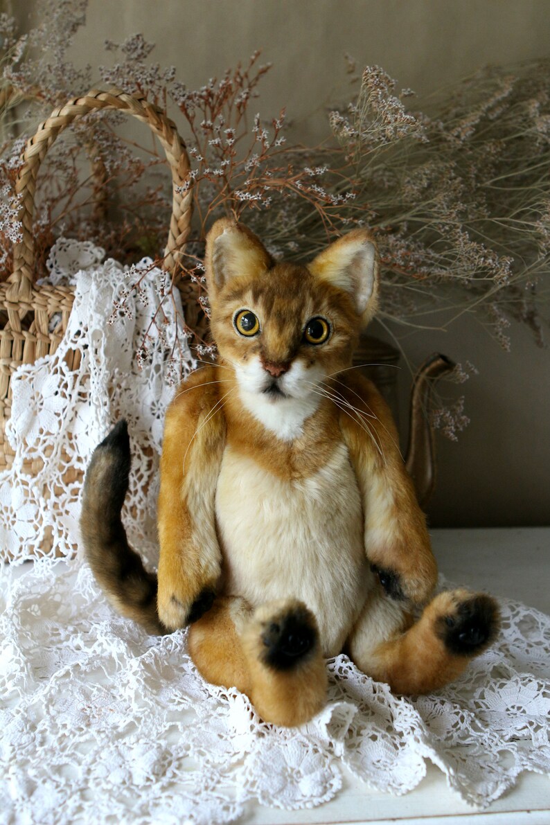 Abyssinian Realistic toy CATS Craft Nature Cats Portrait Teddy Etsy