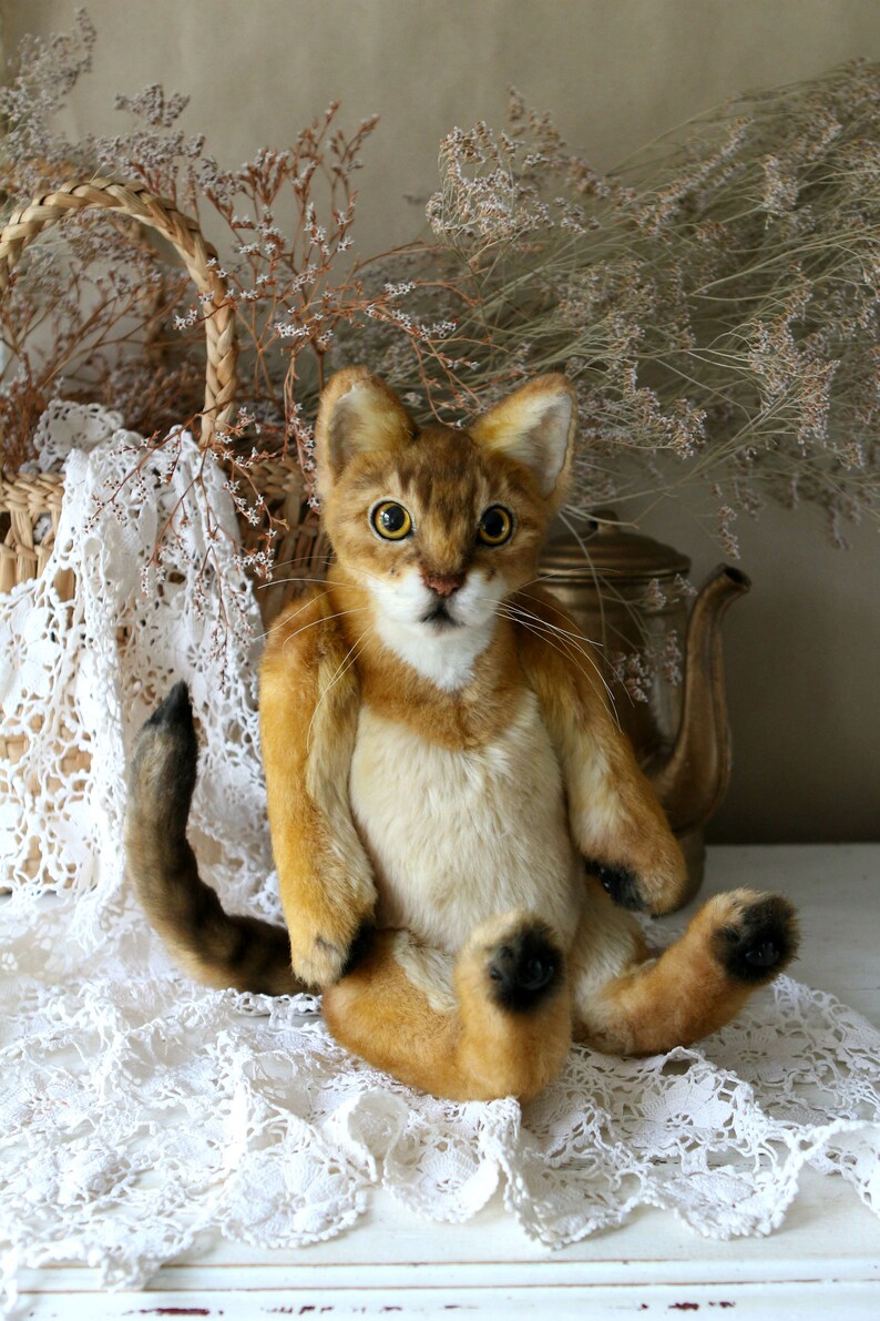 Abyssinian Realistic toy CATS Craft Nature Cats Portrait Teddy Etsy