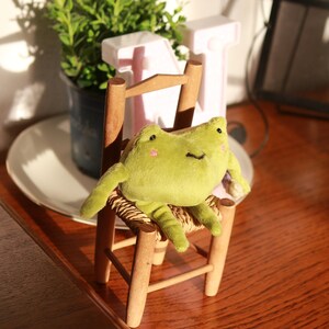 May include: A small green frog plush toy sits on a wooden chair with a woven seat. The chair is on a wooden table with a white plate and a potted plant in the background.