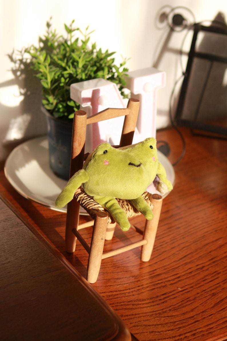 May include: A small green frog plush toy sits on a wooden chair with a woven seat. The chair is on a wooden table with a white plate and a potted plant in the background.