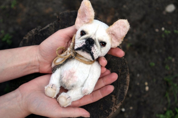 french bulldog teddy
