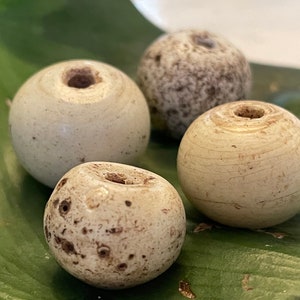 4 White Wound Beads from the African Trade collected in Ethiopia