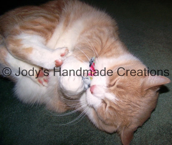 Handmade Catnip Pillow Toys - Set of 6, Assorted Fabrics
