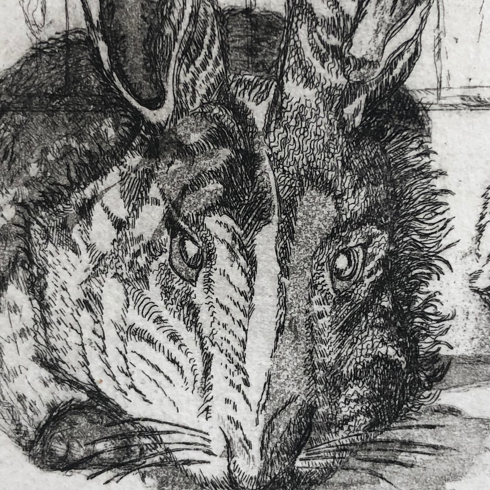 Rabbit Etching Woodcut Group of 3 Rabbits Bunnies Animal Art Easter ...