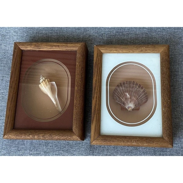 Vintage Pair SEASHELL SHADOWBOX Oak Frame FIGI Giftware Nautical Wall Decor