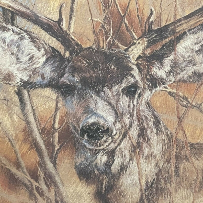 Vintage Deer Print the Silent Buck K Maroon 1978 Framed Wall Etsy