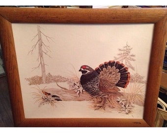 Vintage Print Gamebirds by F Massa Spruce Grouse feathered framed mid century