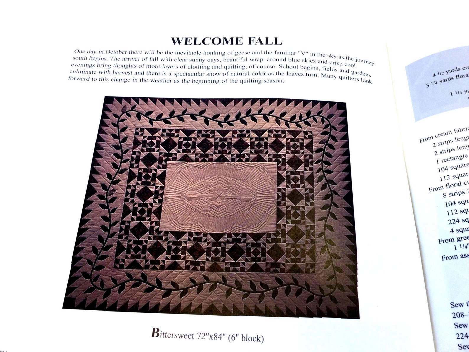 Plum Creek Quilts Seasonal Quilts Quilt Book Quilt Pattern Etsy