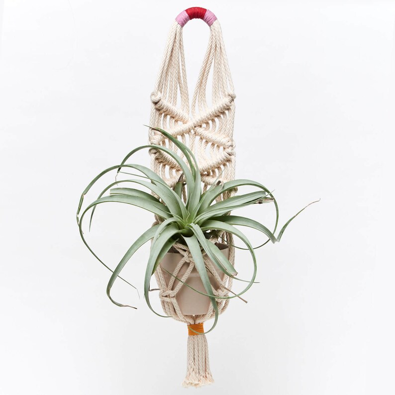 Cotton Rope Wall Hanging Planter Etsy