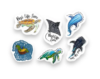 JW Themed - Sea Creatures