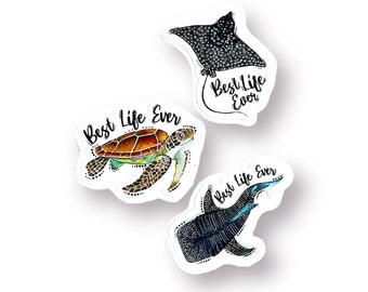 Sea Creatures - Stickers - Best Life Ever - Set