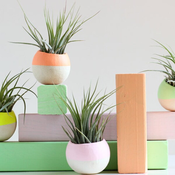 Mini Air Plant Pod Set of 2 - Colors of Your Choice