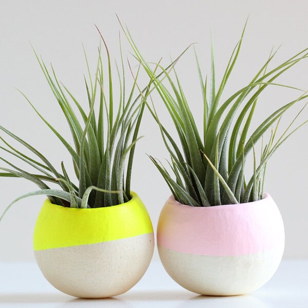 Mini Air Plant Pod Set of 2 - Neon Yellow and Sweet Pink