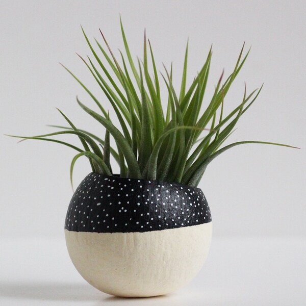 Black and White Color Block Speckled Air Plant Pod with Air Plant