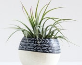 Black and White Color Block Herringbone Air Plant Pod