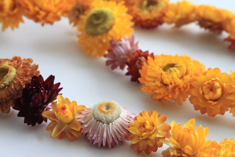 Dried Flower Garland Paper Daisy Chain Everlasting Etsy