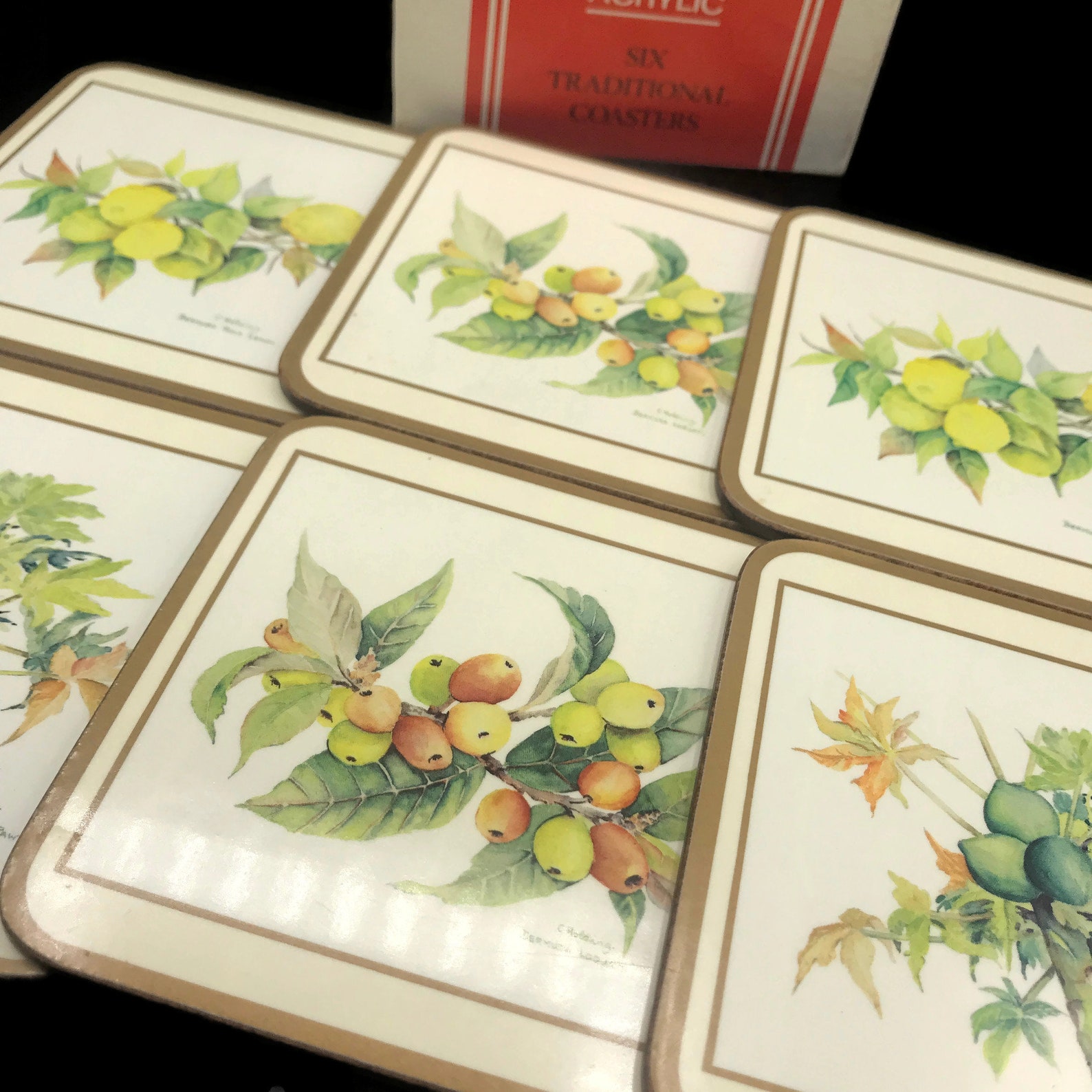 Vintage Pimpernel Coasters Botanical Fruit Set of 6 Acrylic Etsy