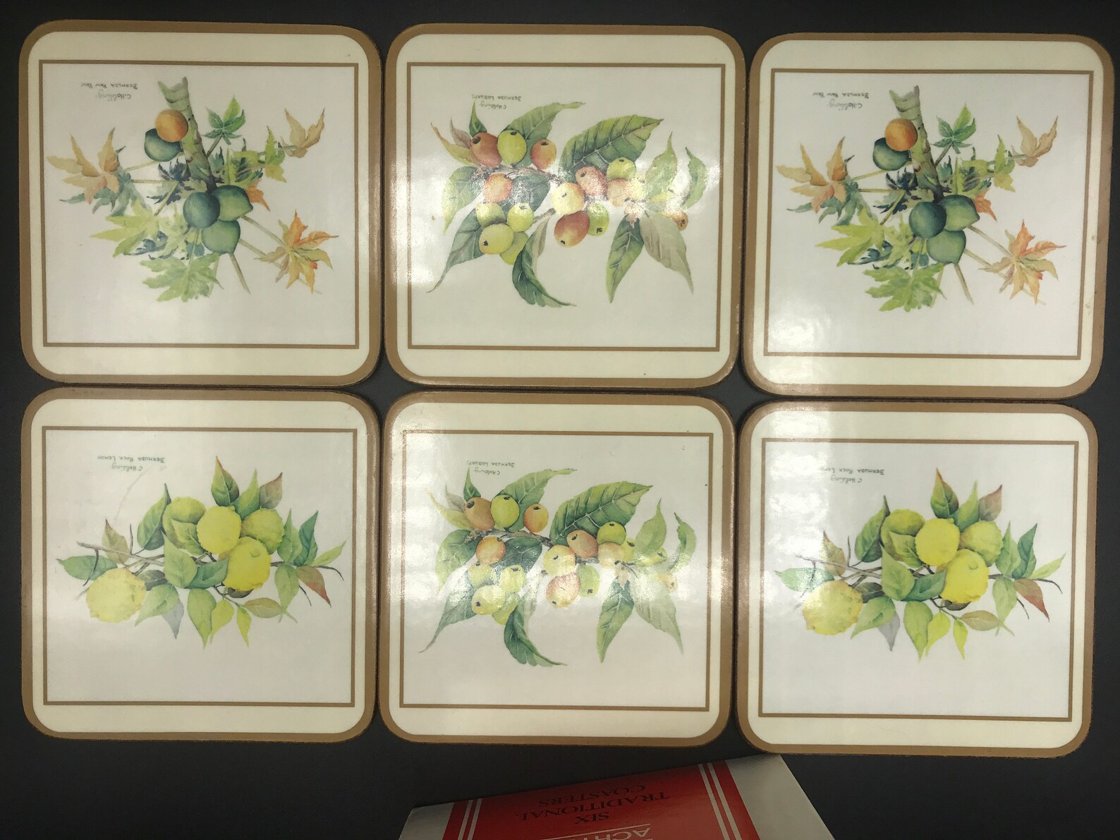 Vintage Pimpernel Coasters Botanical Fruit Set of 6 Acrylic Etsy