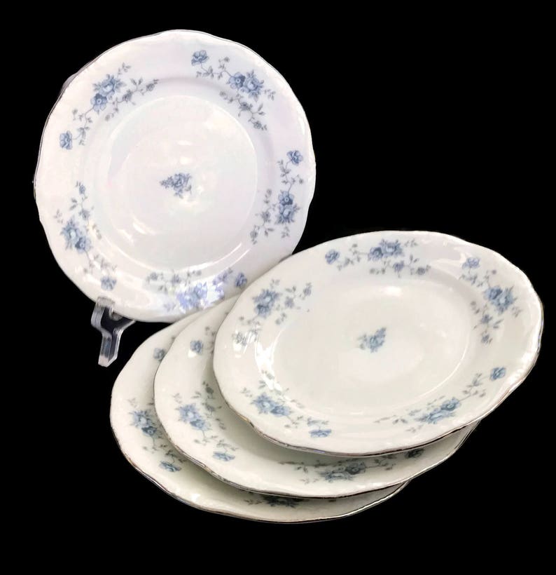 Vintage Haviland China Johann Haviland Bread and Butter Plates Etsy