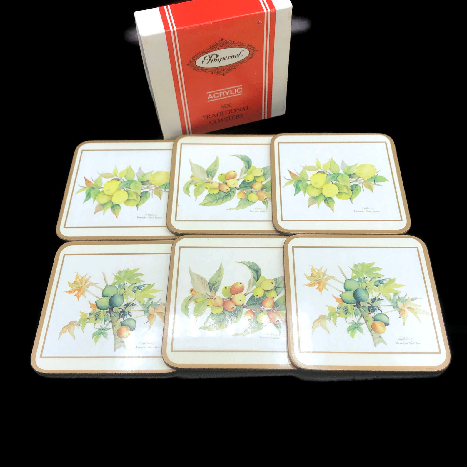 Vintage Pimpernel Coasters Botanical Fruit Set of 6 Acrylic Etsy