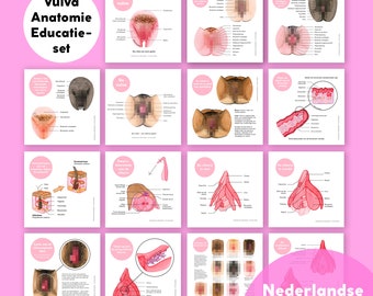 Vulva Anatomie Educatieset • Digitaal • Nederlandse Versie • The Vulva Gallery
