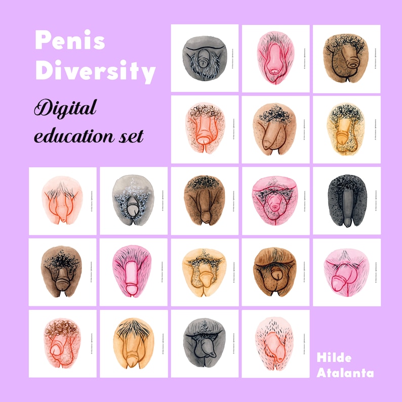 Vulva and Penis Diversity Education Set Digital image 4
