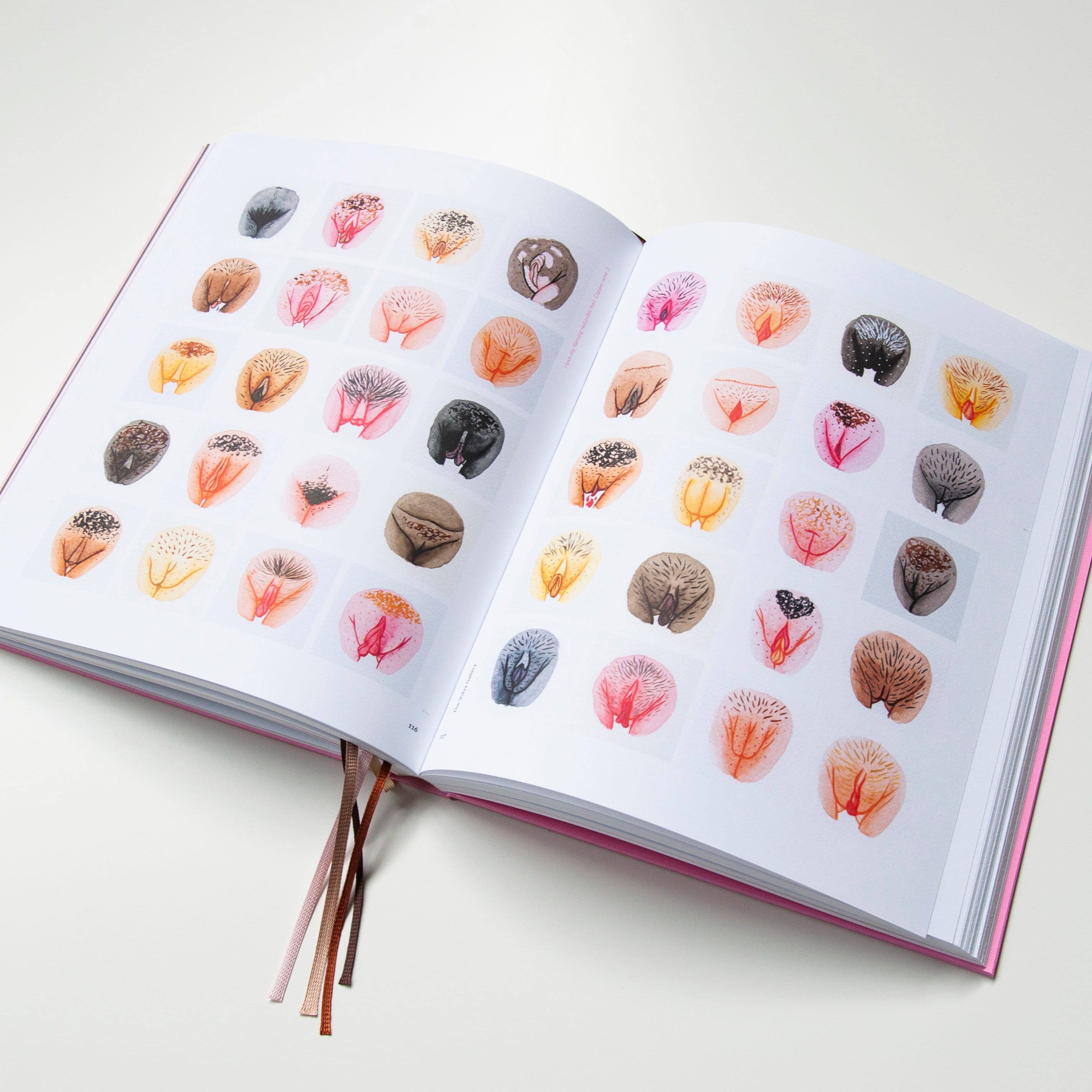 A Celebration of Vulva Diversity Ein Buch der Vulva Gallery Etsy Schweiz
